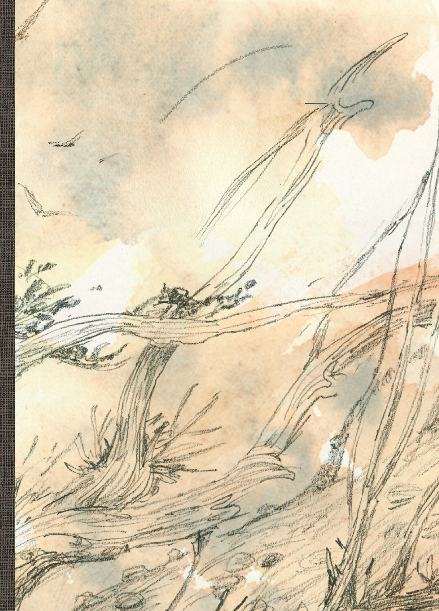 Chroniques de l'île de l'éphémère version deluxe géante avec un original du dessinateur (500 ex) (One-shot)